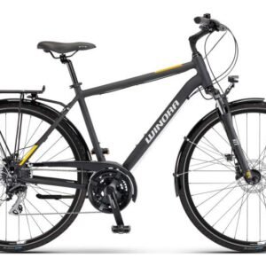 Bicicleta Winora Domingo 24 High 2025